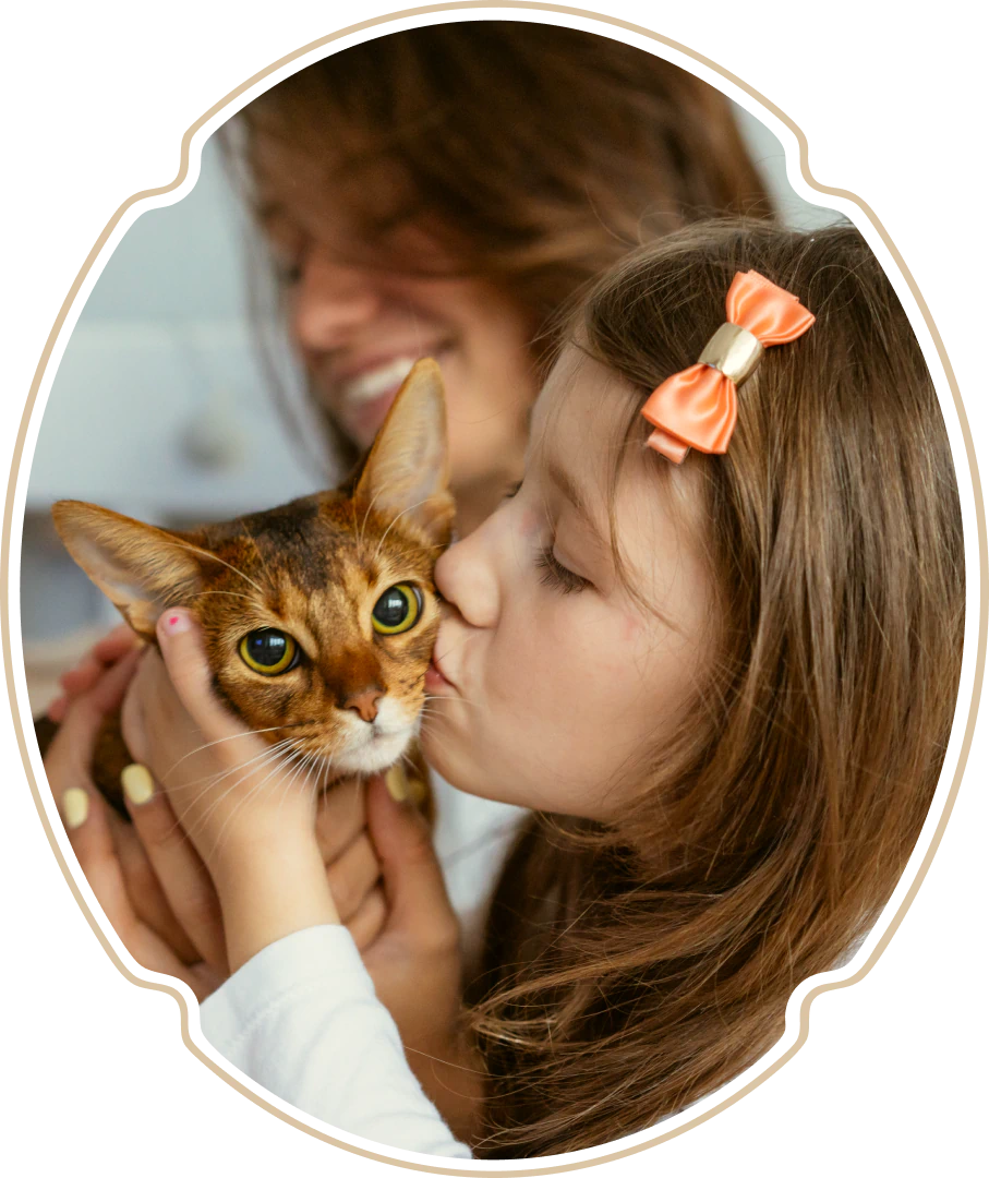 Desktop_About_Us_The_Details A young girl with a bow in her hair kisses a brown cat, while a smiling woman is visible in the background.