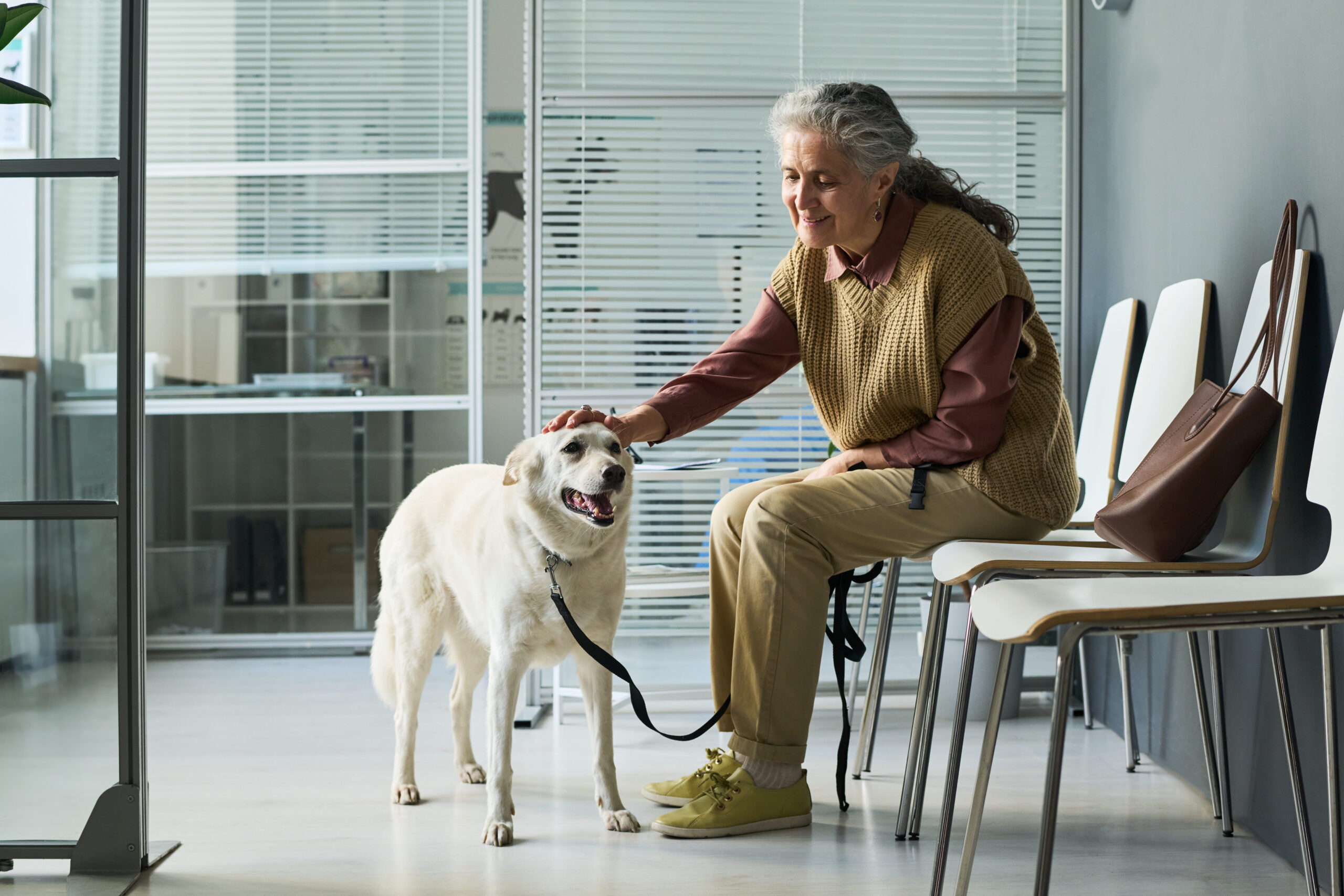 AdobeStock_2098913559 senior pet vet in Canton GA